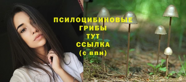 а пвп мука Куйбышев