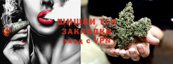 ПСИЛОЦИБИНОВЫЕ ГРИБЫ Кулебаки