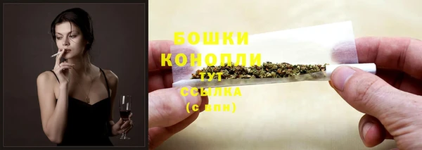 ПСИЛОЦИБИНОВЫЕ ГРИБЫ Кулебаки
