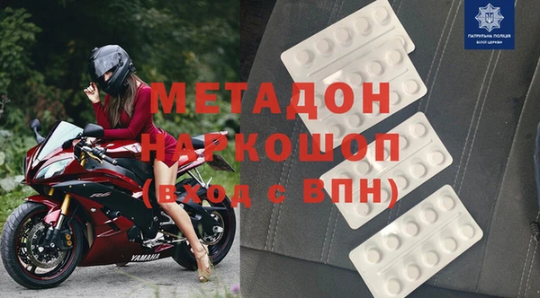 прущие грибы Лабытнанги