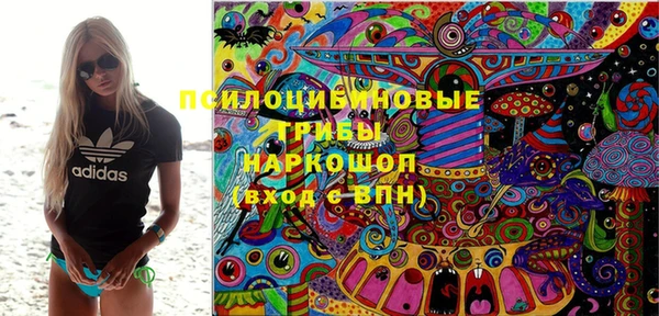 ПСИЛОЦИБИНОВЫЕ ГРИБЫ Кулебаки