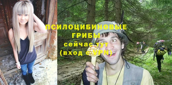 а пвп мука Куйбышев