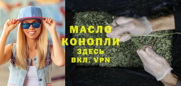 прущие грибы Лабытнанги