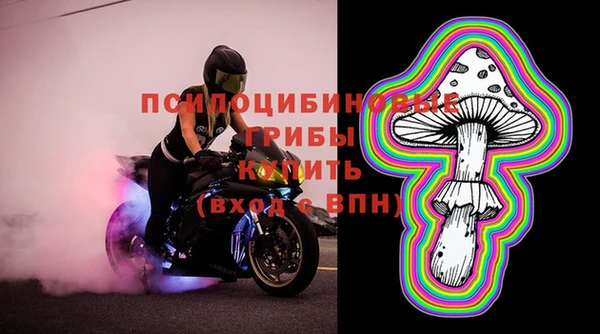 ПСИЛОЦИБИНОВЫЕ ГРИБЫ Кулебаки